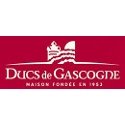 Ducs de Gascogne